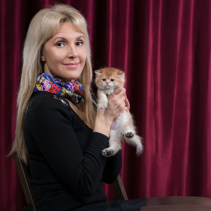My mother and one of her golden chinchillas. Both my parents ran their own businesses — his were cars and property, hers is a cattery — so the question at our dinner table was never whether you would work for yourself, only at what.