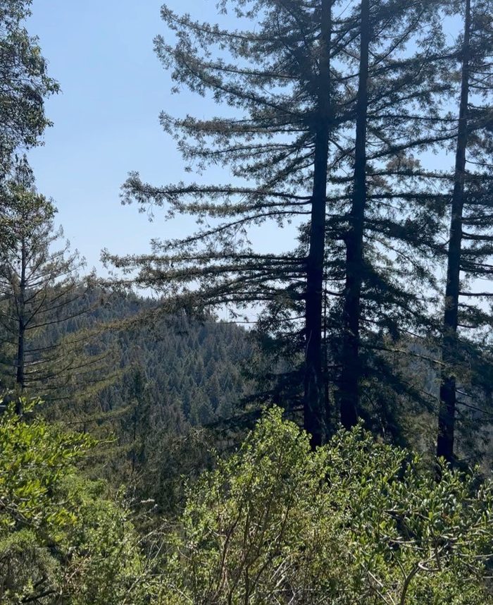 California, the same autumn. The distance between where the decisions were being made and where their consequences were being lived was the hardest part of that year to hold.
